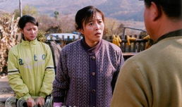 所有东北农村电视剧,描绘乡土风情，传承民俗文化