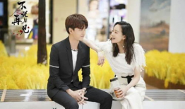 未上映的电视剧,未上映电视剧之谜