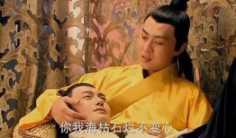 汉哀帝董贤电视剧,宫廷权谋与爱情纠葛